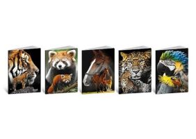 Blasetti_Animal_8357.jpg