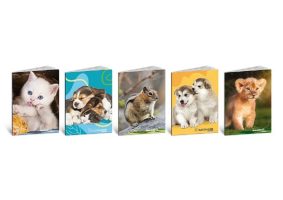 Blasetti_Pet_Color_8356.jpg