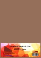 barna_fenymasolo_netre_1.1_12714.jpg