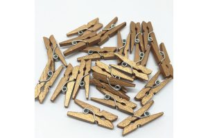 csipesz_arany_25mm_1648.jpg
